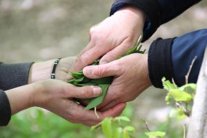 Choosing the Right Executor